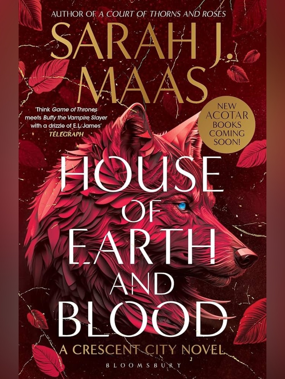 House of Earth and Blood by Sarah J Maas